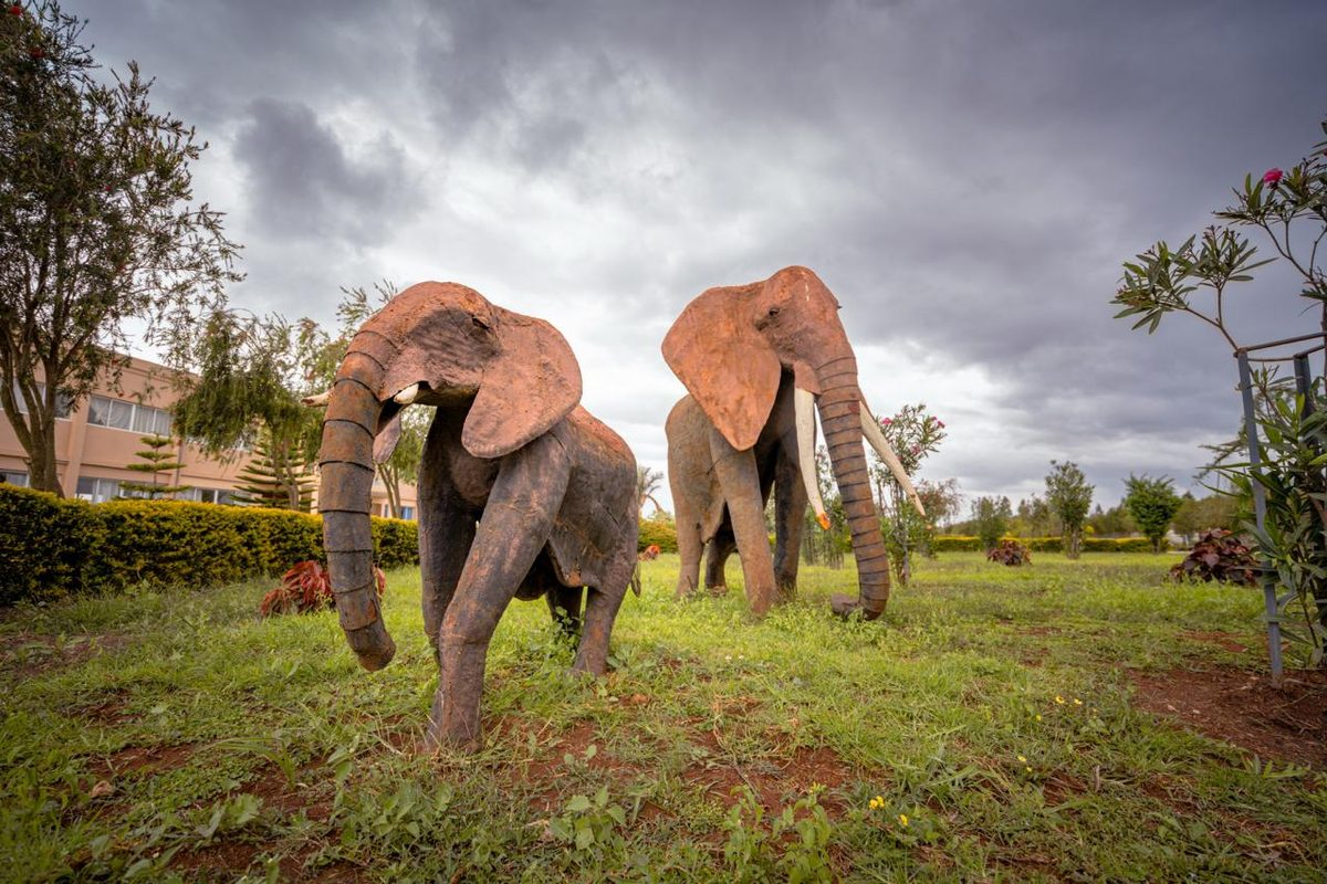 Elephant sculptures on the open lawns