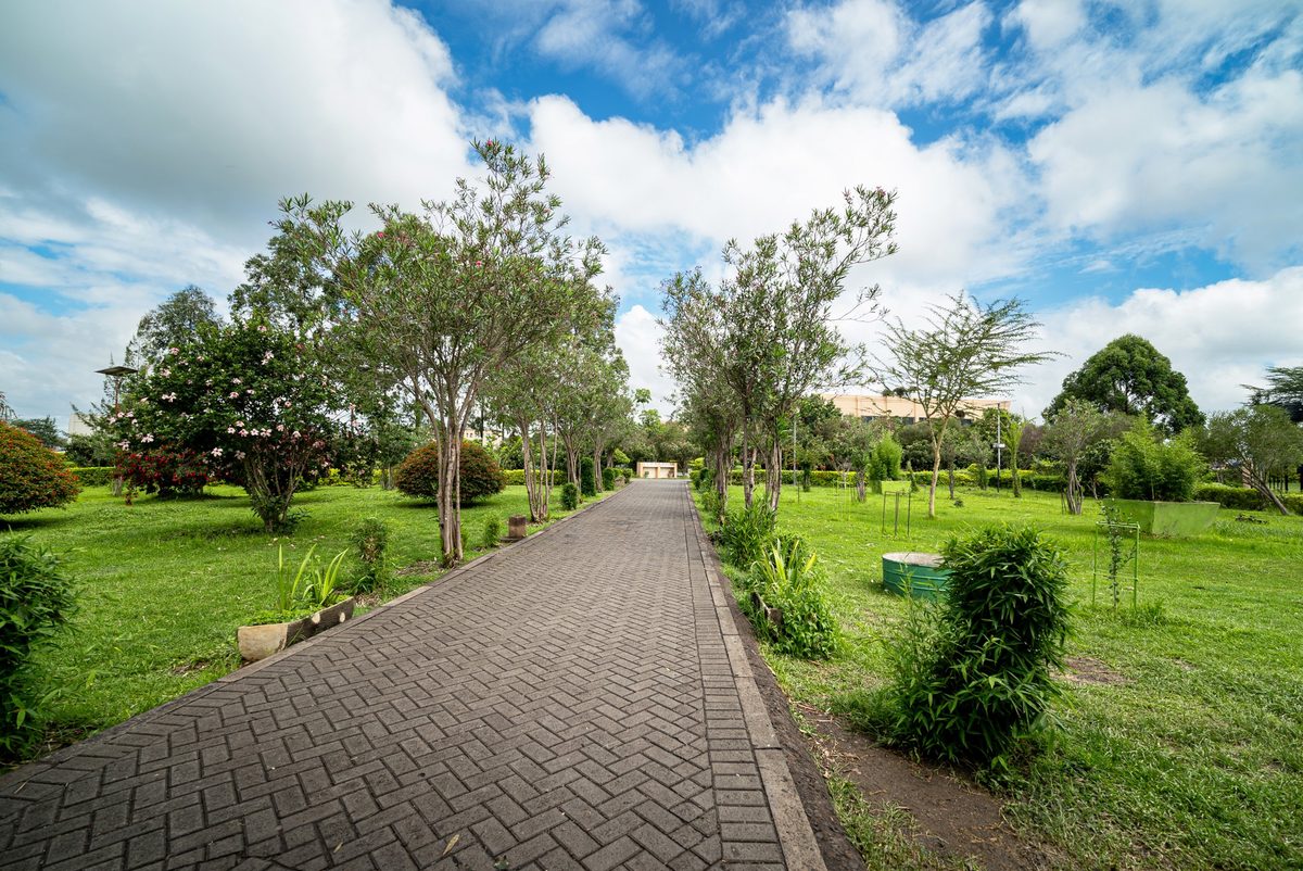 The tree-lined walkway from the gate